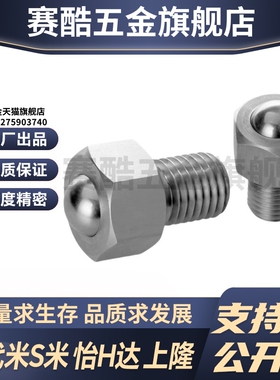 MI思米BCHL5/BCHL6/BCHL8/BCHL10/BCHL12/BCHL16/BCHL20不锈钢球