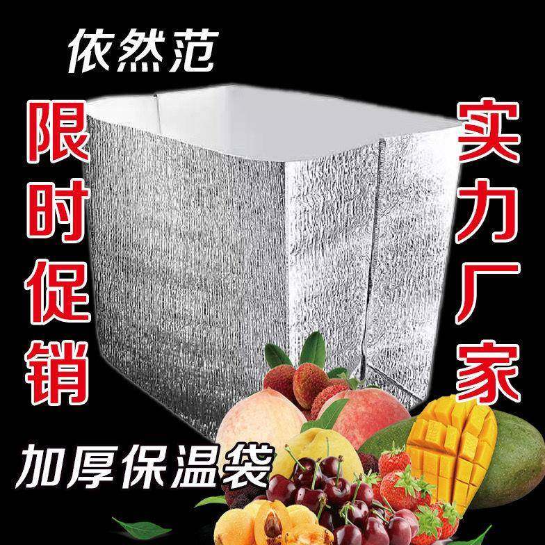 大号加厚立体铝箔保温袋打包海鲜水果专用冻品冷藏保冷隔热袋,户外/登山/野营/旅行用品,冰包,淘宝优惠券,粉丝福利购,淘宝优惠卷