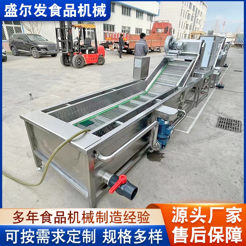 盛尔发厂家供应果蔬脆片预加工流水线 松茸脆菌菇脆预处理设备