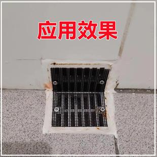 卫生间浴室黑色地漏过滤网香港公屋通用去水隔毛发防堵蚊虫挡蟑螂