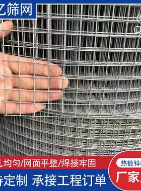 铁丝网 热镀锌电焊网鸡笼养鸡场围栏镀锌防锈1.2米1.5米养殖围网
