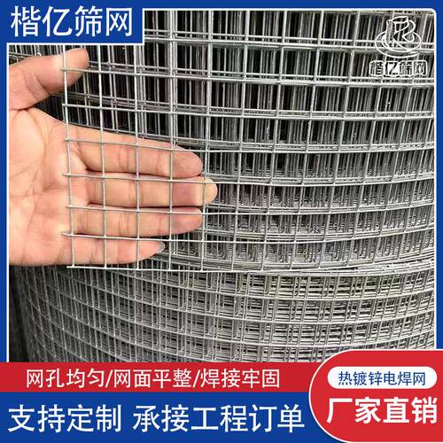 铁丝网 热镀锌电焊网鸡笼养鸡场围栏镀锌防锈1.2米1.5米养殖围网