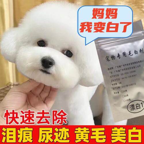 宠物狗猫眼部清除泪痕毛