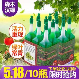 营养液植物通用型家用花肥料养花盆栽水培竹子花卉绿萝富贵竹绿植