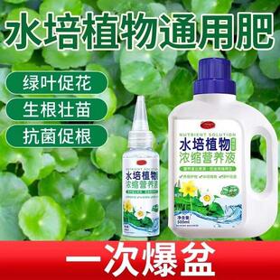 水培植物专用营养液家用盆栽富贵竹绿萝碗莲水培花卉绿植肥肥料花