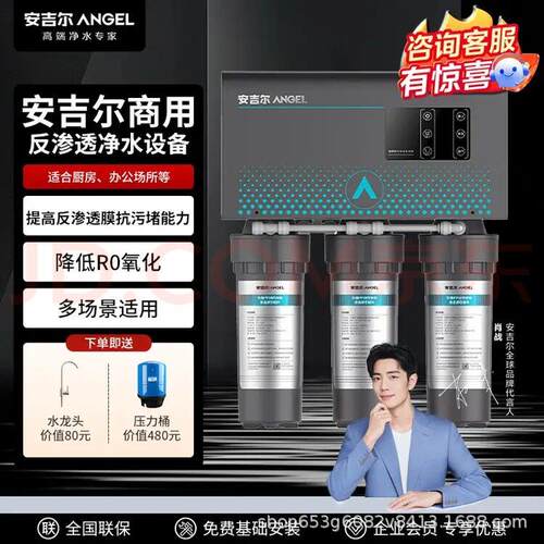 安吉尔（Angel） J3363-ROS63 5级精滤 RO反渗透饮用水大型净化器