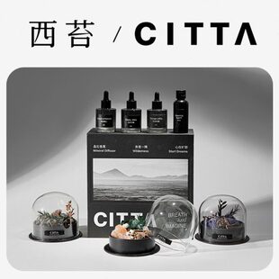 CITTA 扩香石香氛摆件生日礼物送男女友 西苔&旷野秘境 香薰礼盒装