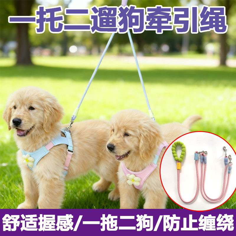 一拖二遛狗牵引绳宠物外出绳防缠绕狗绳双头牵狗绳子轻便小型犬链,宠物/宠物食品及用品,狗牵引绳,淘宝优惠券,粉丝福利购,淘宝优惠卷