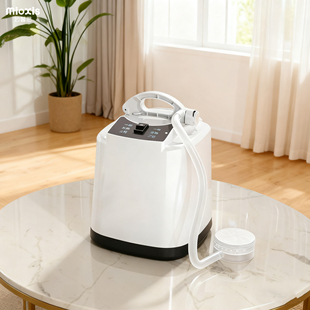 泡澡专用熏蒸机汗蒸机家用熏蒸仪蒸汽机桑拿房熏蒸锅浴箱中药熏蒸