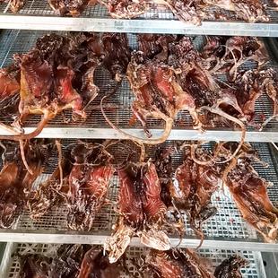 田鼠干烘干机 空气能腊山鼠烘干房 肉类 腌腊制品箱式干燥设备