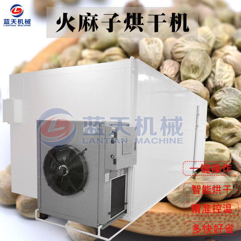 火麻子烘干机大型商用 火麻仁麻子仁烘干机 火麻冬麻子除湿干燥机