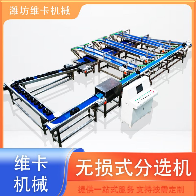 释迦果呵护无损选果机 草莓称重选果机价格 果蔬分拣机厂家