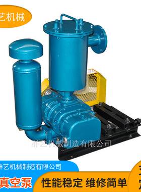 厂家定制水环式微型罗茨真空泵 立式增压泵全自动小型罗茨真空泵