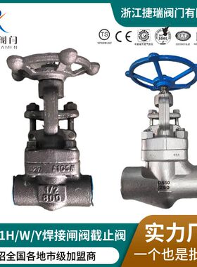 Z/J61H-800LB国标美标俄标A105N锻钢焊接闸阀F304承插焊截止阀F11