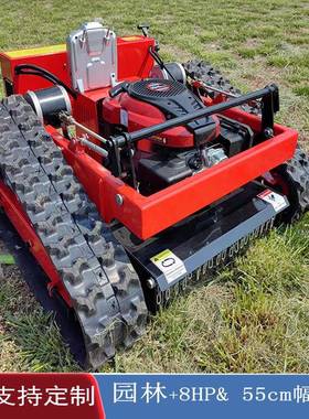 出口5沙特马 8力遥控智能ADQ割草机 24V电 5cm除草机剪草机厂控家