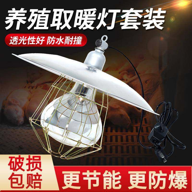保温灯罩养殖场小鸡育雏仔猪取暖灯金属灯盘网罩陶瓷灯口保温灯套,农机/农具/农膜,农用防护器具,淘宝优惠券,粉丝福利购,淘宝优惠卷