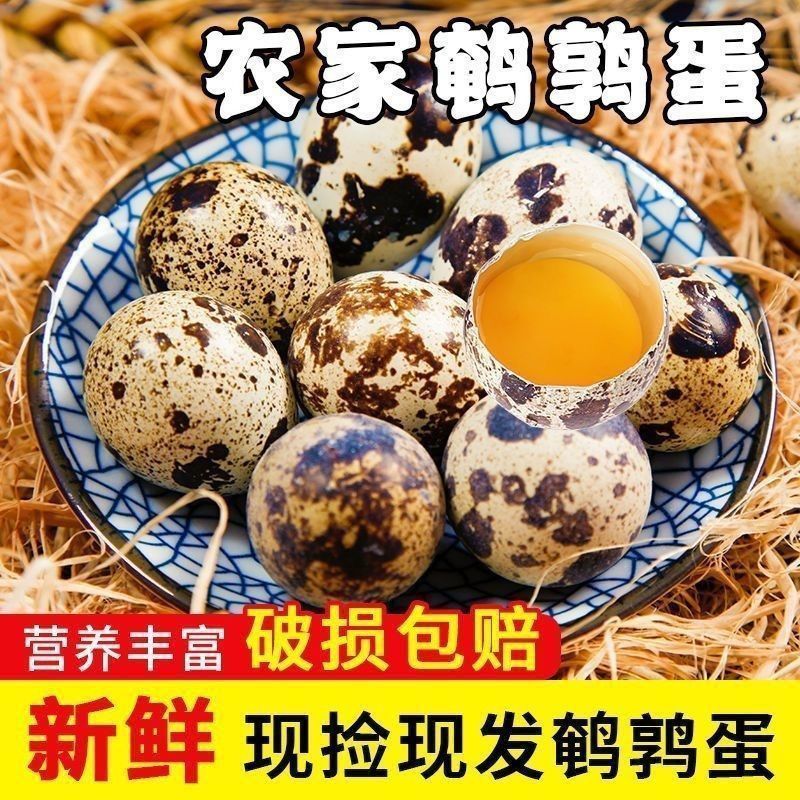 【40枚生鹌鹑蛋】精选农家新鲜土鹌鹑蛋五谷养小鸟蛋涮煮烤生鲜蛋