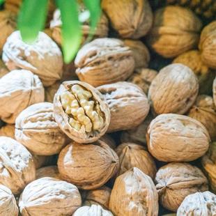 陕西商洛柞水特产山核桃秦岭深山野生厚皮核桃原味新货老树薄核桃