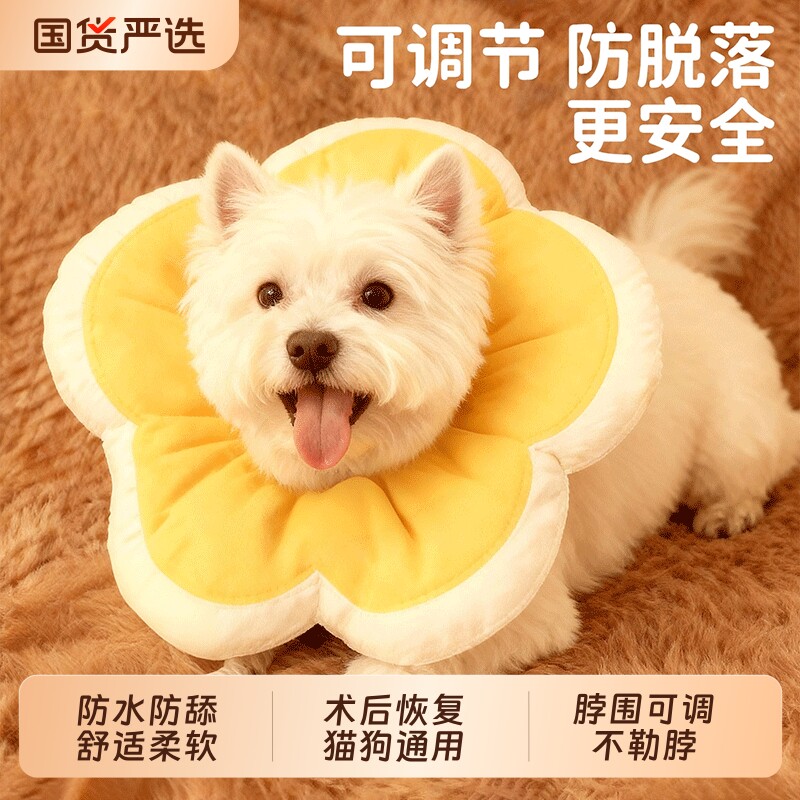 宠物伊丽莎白圈防舔|千人加购
