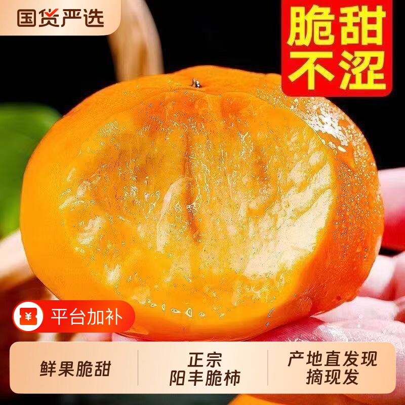 正宗巧克力脆柿子当季新鲜水果整箱脆甜特大阳丰正宗硬冰糖心应季