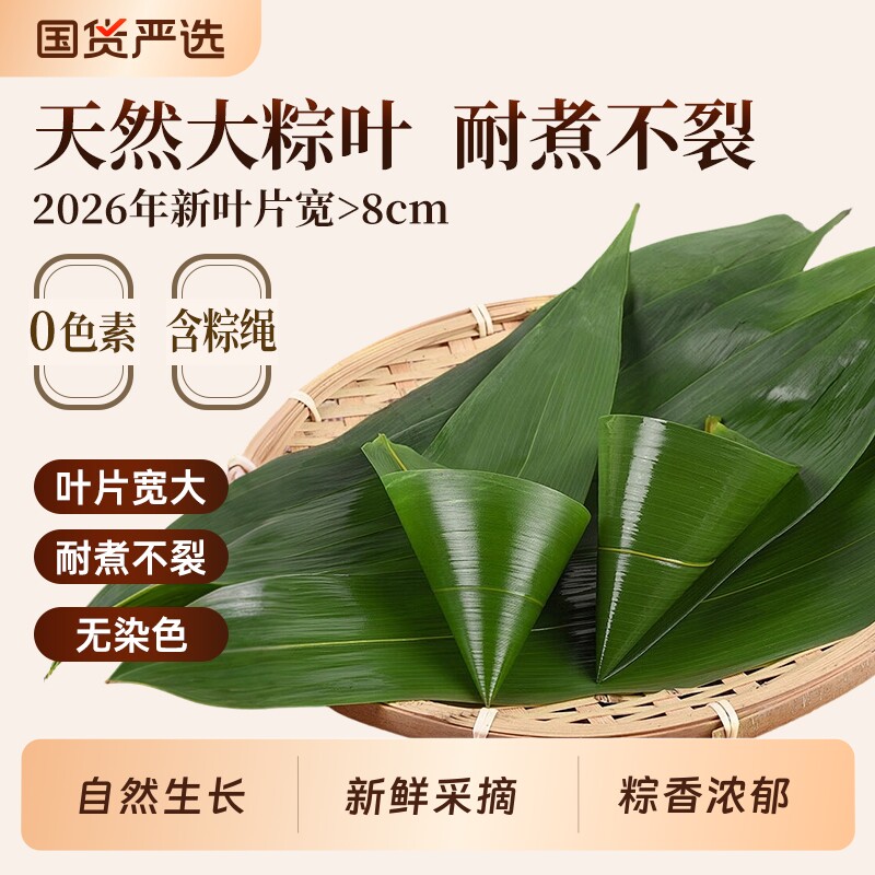 粽子叶棕叶新鲜大号包粽子专用的叶子商用批发干粽叶大鲜粽叶家用