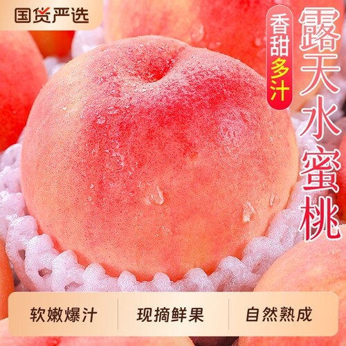 现摘水蜜桃新鲜露天水果桃子包邮