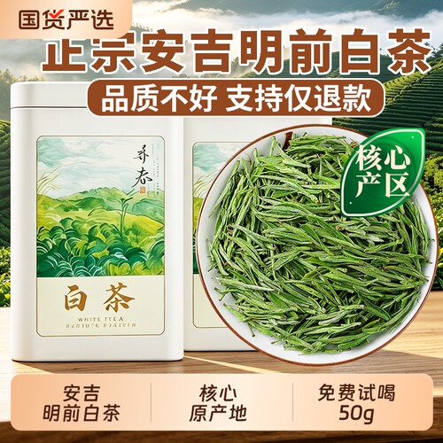 正宗白茶安吉自己喝2026年新茶叶