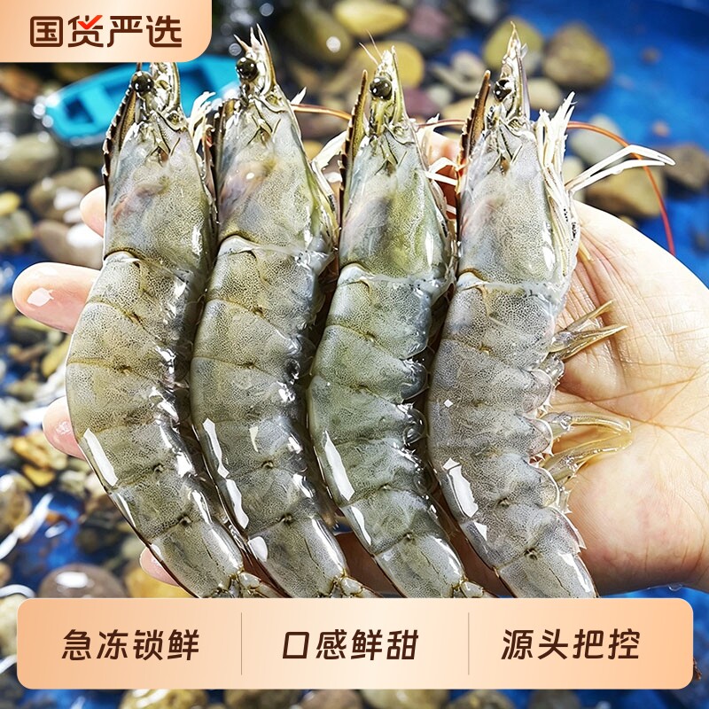 急冻锁鲜白对虾鲜活急冻大虾青虾盐冻白虾单冻虾海鲜水产冷冻海虾