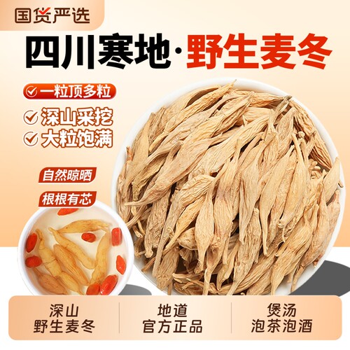麦冬