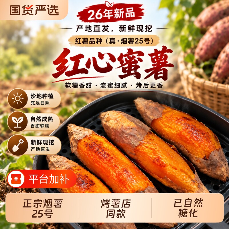 【已糖化】山东烟薯25号蜜薯糖心红薯新鲜现挖沙地糯香番薯烤地瓜