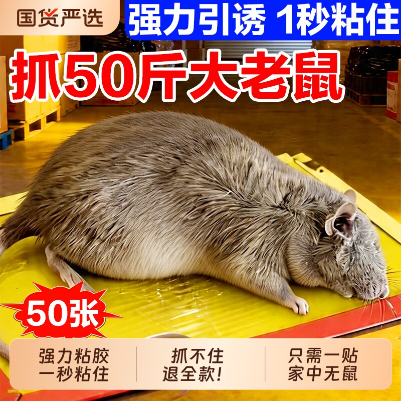 超强力粘鼠板捉粘大老鼠贴沾胶抓灭鼠捕鼠神器超强正品家用一窝端