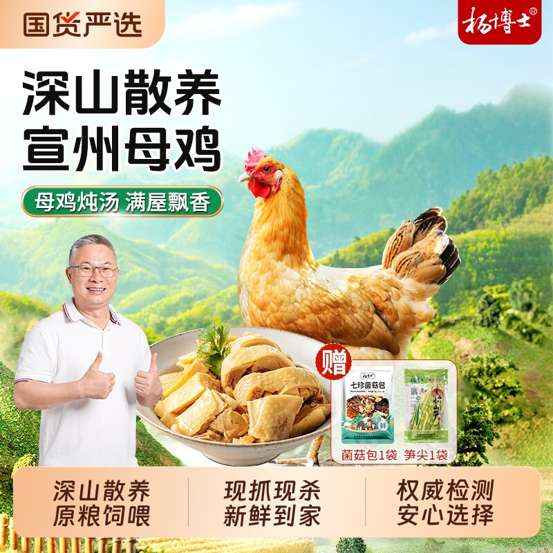 杨博士宣州母鸡深山散养原粮饲喂散养母鸡现抓现杀跑山鸡炖汤食材