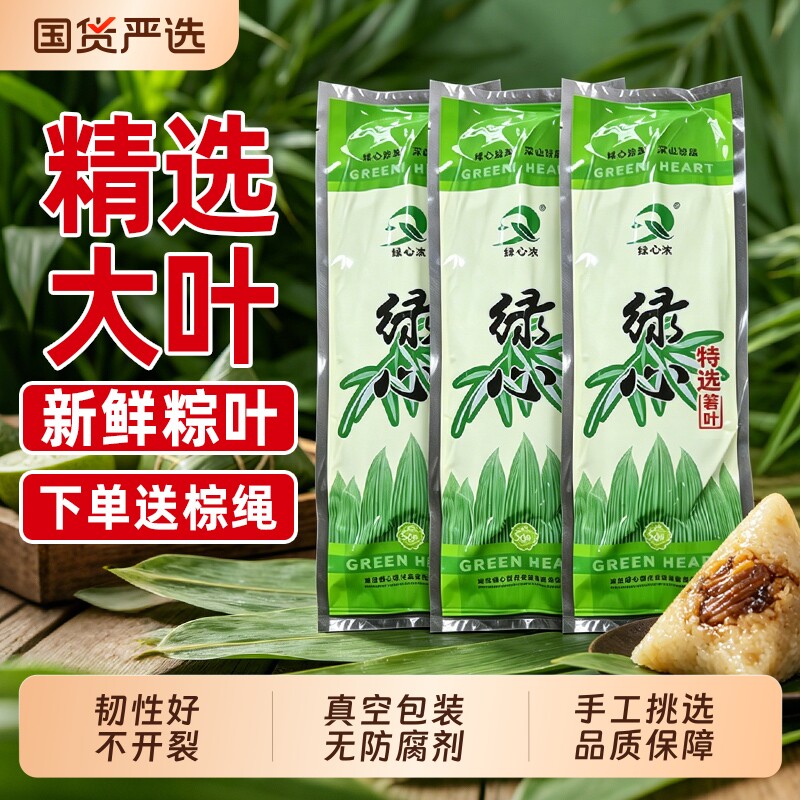 粽子叶棕叶新鲜大号新叶包粽子专用的叶子端午节商用批发干粽叶大