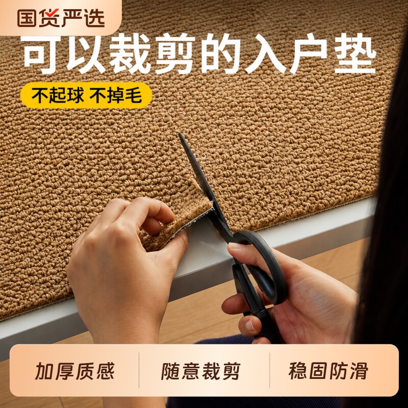 入户门进门仿剑麻新款高级感地垫图片