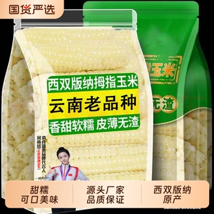 5斤新鲜云南西双版纳拇指小玉米香糯小手指迷你儿童玉米零食真空