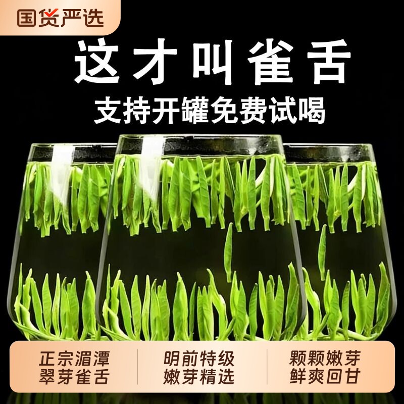贵州雀舌特级炒青绿茶明前新茶图片