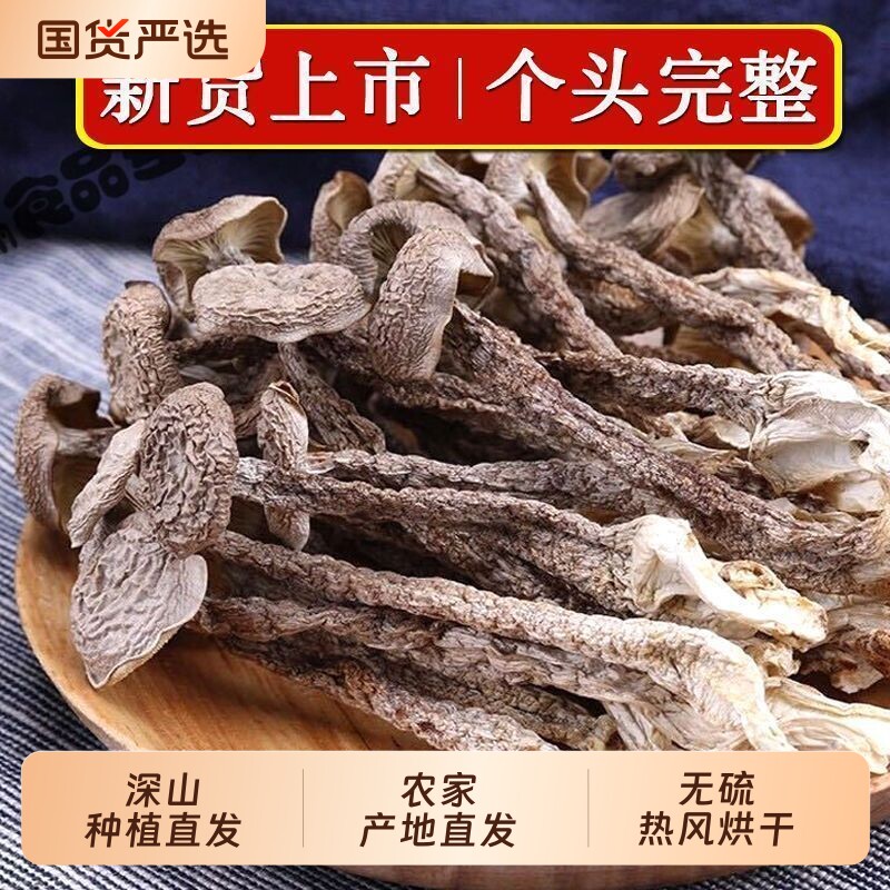 鹿茸菇新货批发农家特产鹿茸菌鹿耳菇散装商用干新鲜