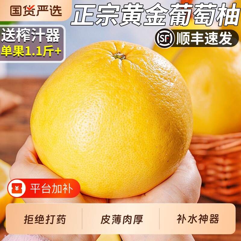 正宗福建黄金葡萄柚应当季新鲜水果甜橘柚黄肉西柚蜜柚子整箱包邮