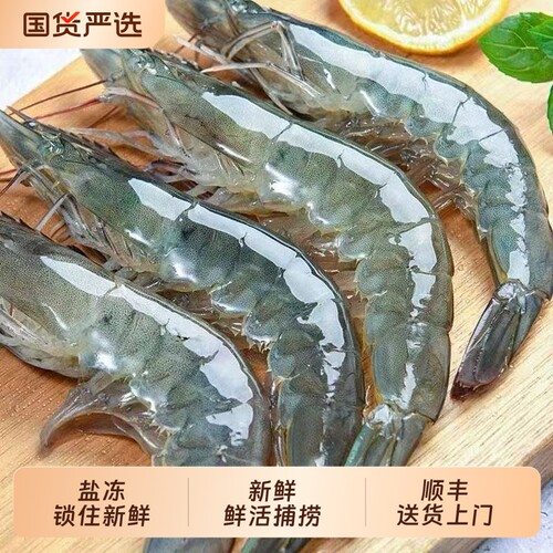 鲜活速冻大虾特大青岛大虾盐冻白虾基围虾新鲜对虾非青虾海鲜水产