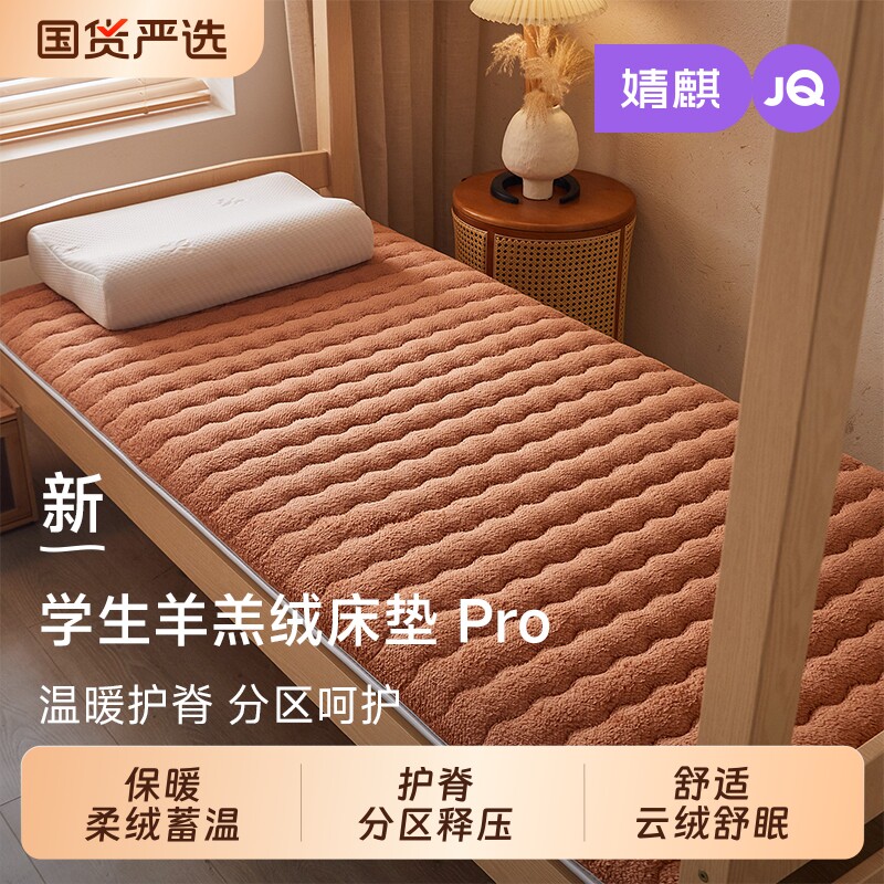 JQ婧麒羊羔绒床垫软垫家用卧室铺底床被褥垫榻榻米垫加厚保暖褥子