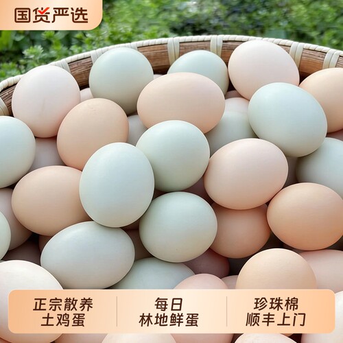 鸡蛋土鸡蛋正宗农家散养新鲜批发生鲜虫草笨鸡蛋乌鸡蛋无抗整箱