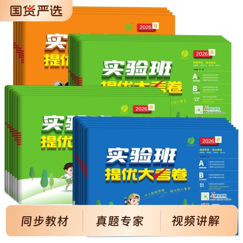 小学实验班提优大考卷