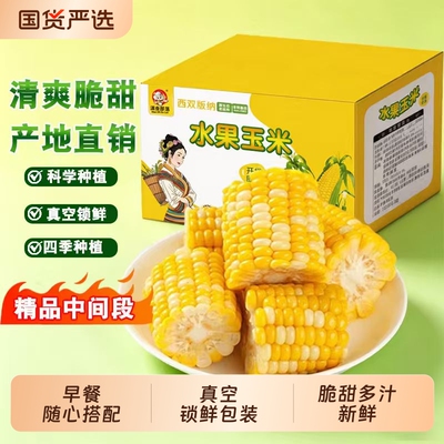 云南滇食部落黄金水果甜玉米段真空包装开袋即食玉米学生早餐免煮