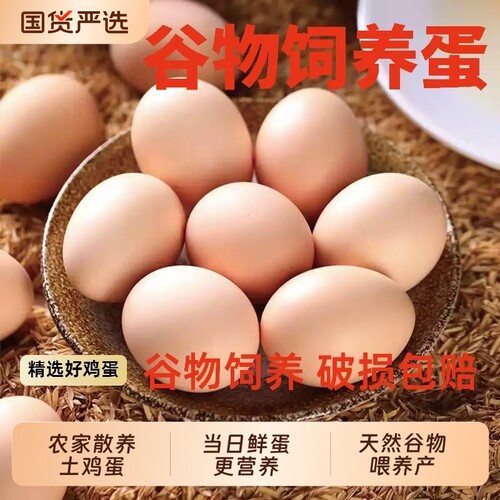 谷滋然农家散养新鲜土鸡蛋鸡蛋现捡现发五谷杂粮包邮农村
