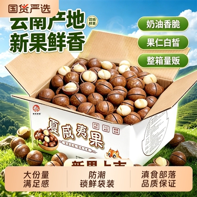 特大颗粒夏威夷果新货500g奶油味