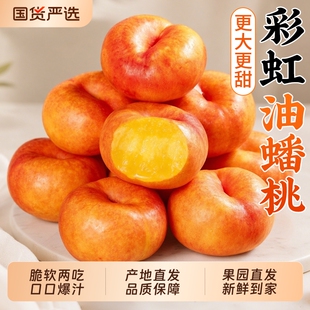 彩虹油蟠桃正宗蒙阴扁桃子新鲜水果应当季奶潘桃甜蜜桃整箱包邮9
