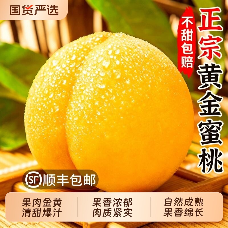 黄桃当季新鲜现摘孕妇水果多汁蜜桃黄毛桃鲜果产黄肉脆黄金爆汁