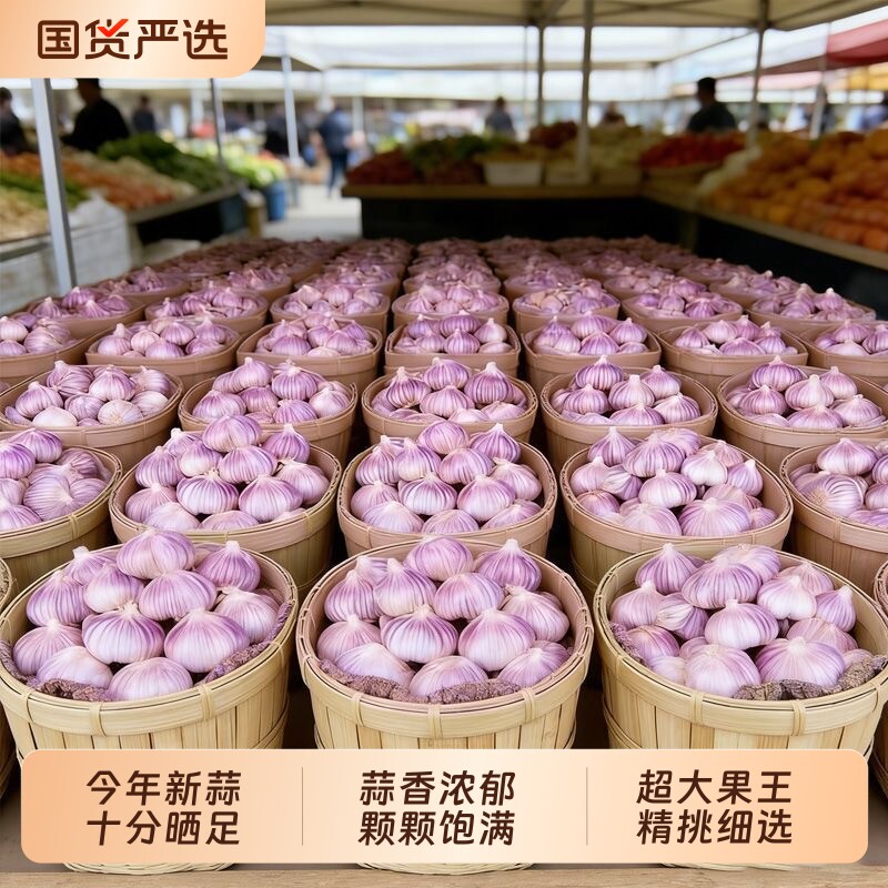 农家今年新干蒜大蒜头干大蒜种籽河南批发新鲜蔬菜5斤9斤紫白皮蒜