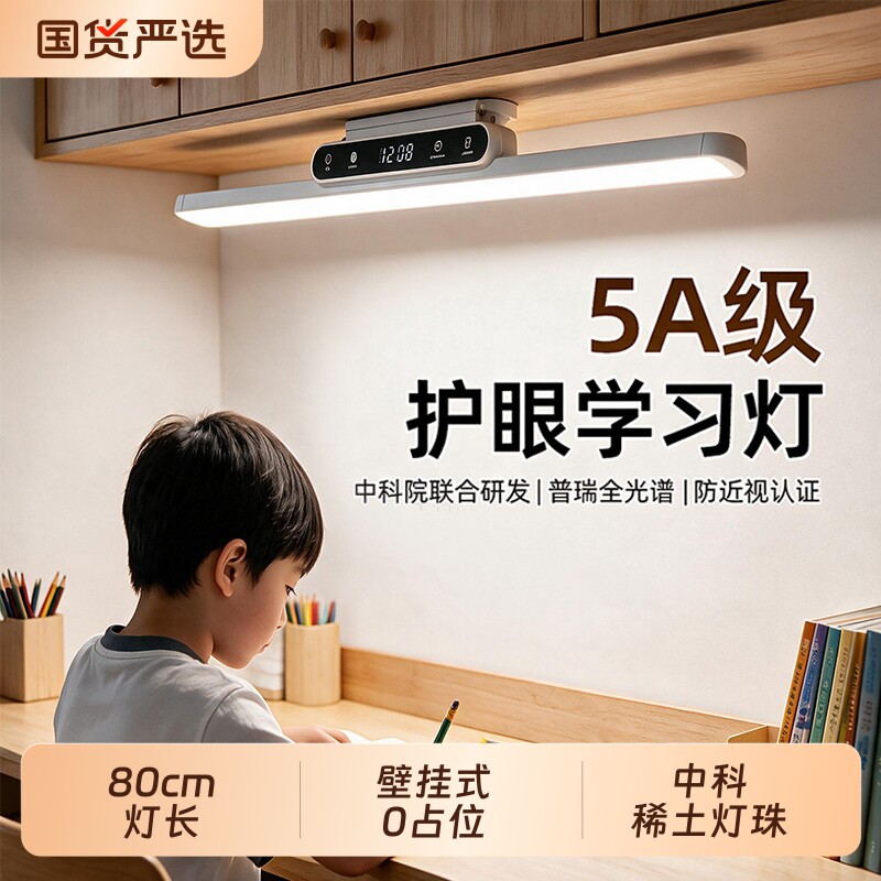 壁挂式护眼灯学习专用台灯防近视儿童学生书桌磁吸顶充电款全光谱图片