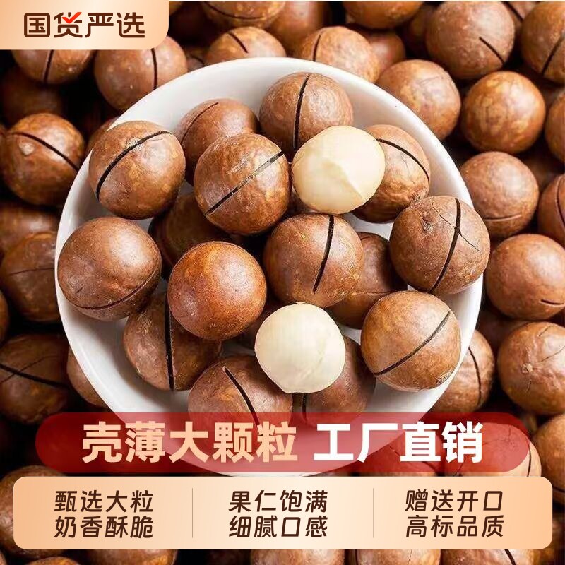 当季新货夏威夷果500g奶油干果孕妇休闲原味坚果健康零食大颗粒